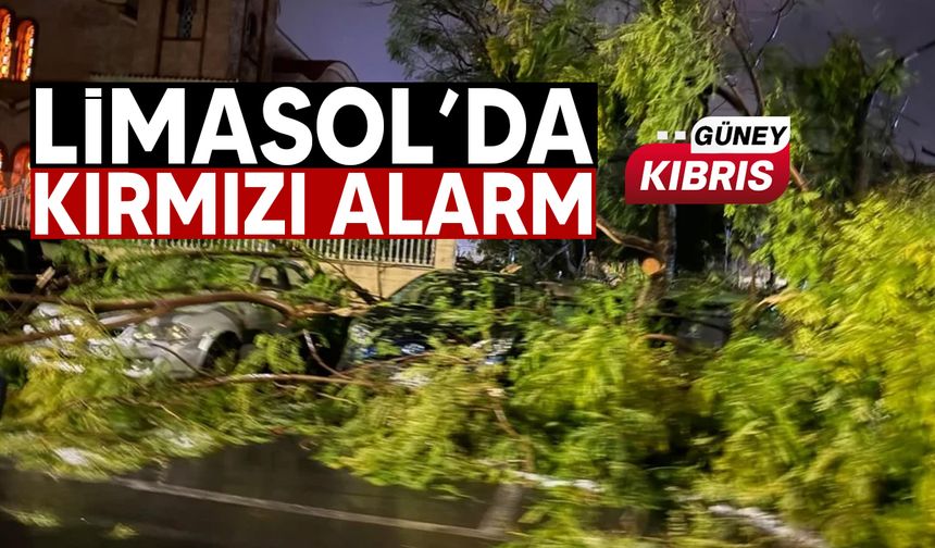 Limasol’da şiddetli fırtına hayatı felç etti: Ağaçlar devrildi, elektrik kesintileri yaşanıyor