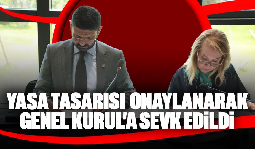 Cumhuriyet Meclisi, İdari, Kamu ve Sağlık İşleri Komitesi toplandı