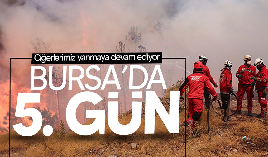 Bursa Orhaneli-Harmancık Yangını 5. Gününde!