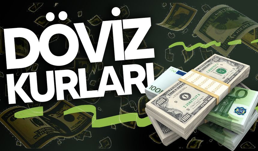 Dolar rekor tazeledi