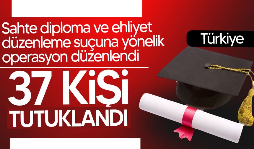Türkiye'de sahte diploma ve ehliyet suçlarına 23 ilde düzenlenen 197 kişi yakalan 37 kişi tutuklandı!