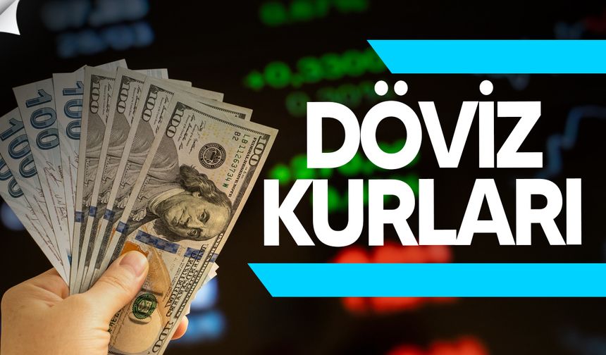 Dolar Rekor Tazeledi: Son Bir Ayın En Yüksek Seviyesi