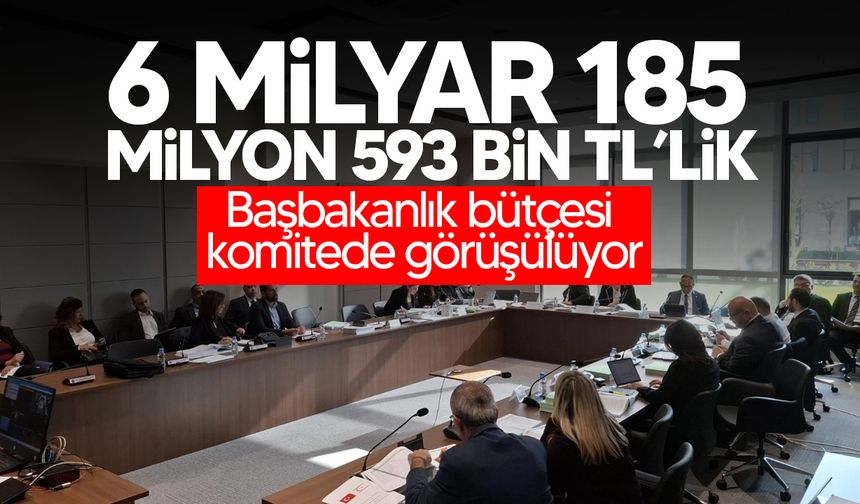 Başbakanlık bütçesi komitede görüşülüyor