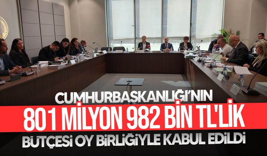 Cumhurbaşkanlığı bütçesi komitede oy birliğiyle kabul edildi