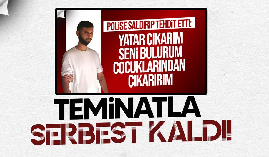 Demirhan’da Polisleri Darp Eden Zanlıya 100 Bin TL Nakit Teminat!