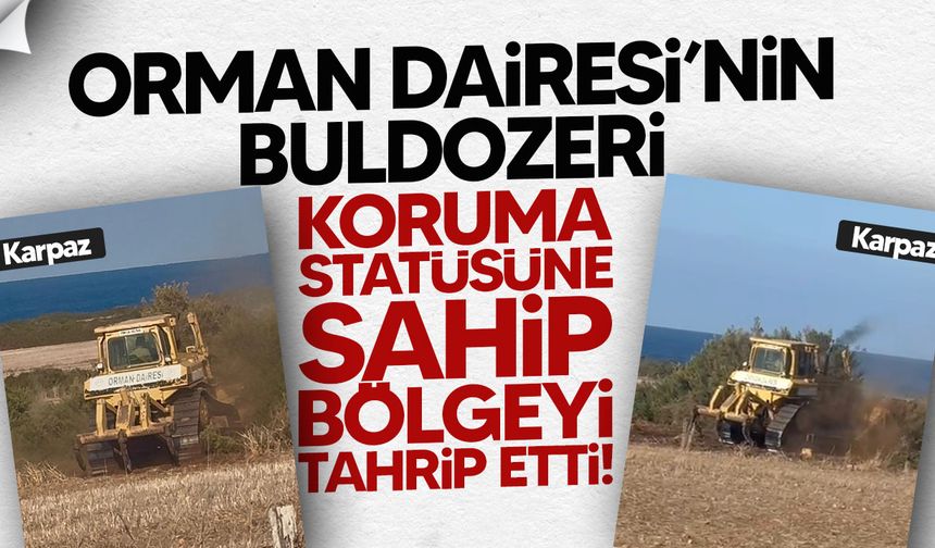 Karpaz ÖÇKB’de Çevre Felaketi: Devlete Ait Buldozerle Koruma Alanı Tahrip Edildi
