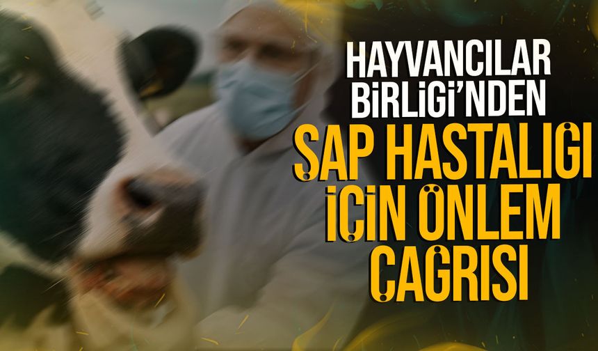 Hayvancılar Birliği’nden Şap Hastalığı Uyarısı