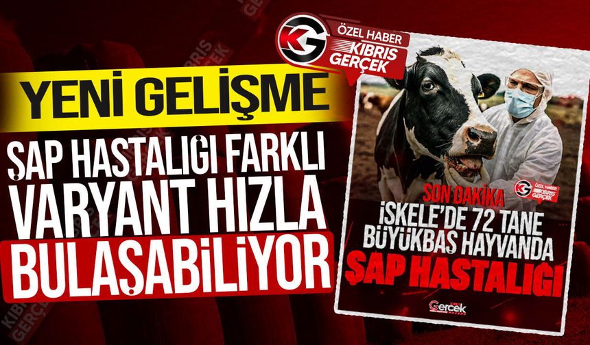 KKTC hayvancılığı alarm veriyor