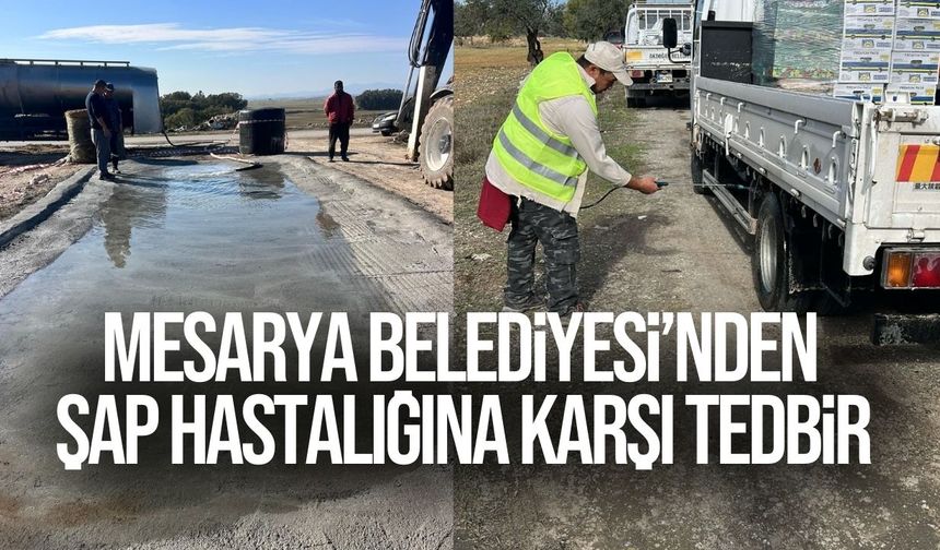 Belediyenin hastalıkla mücadele kapsamında başlattığı çalışmaların kararlılıkla sürdürüleceği vurgulandı