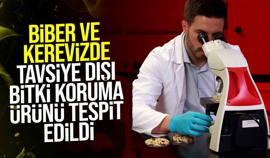 Yerli Kapya Biber ve Kerevizde Tavsiye Dışı Bitki Koruma Ürünü Tespit Edildi