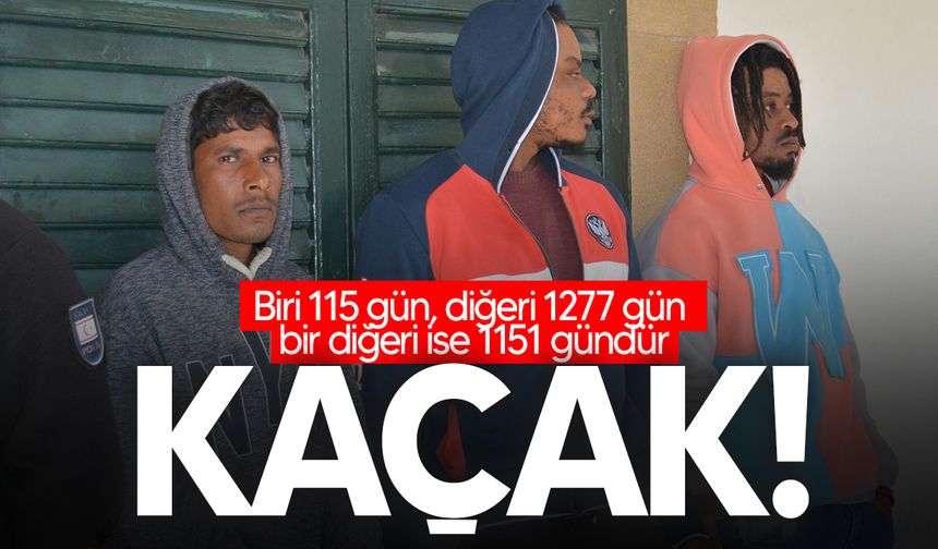 3 kaçak mahkemeye çıkarıldı!