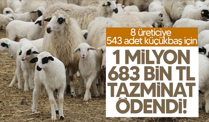 Brucella tazminatları ödendi