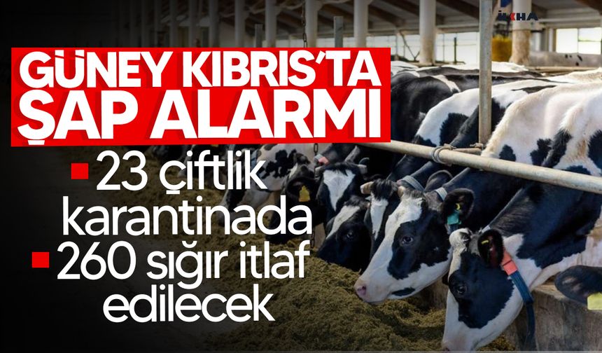 Güney Kıbrıs'ta şap alarmı!
