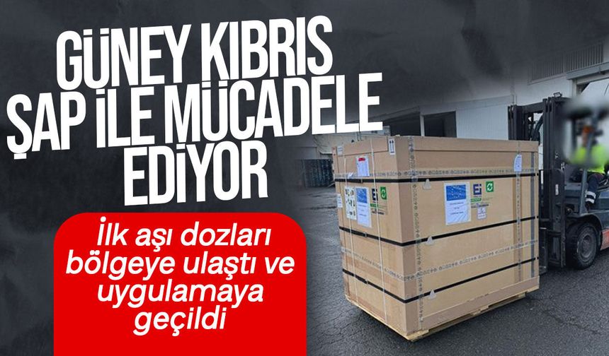 Güney Kıbrıs’ta Şap Aşıları Uygulanmaya Başladı: Et Tüketimi Sürecek