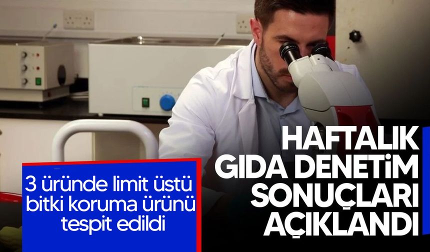 Haftalık gıda denetimleri