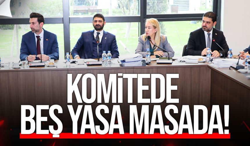 İdari, Kamu ve Sağlık İşleri Komitesi Toplandı