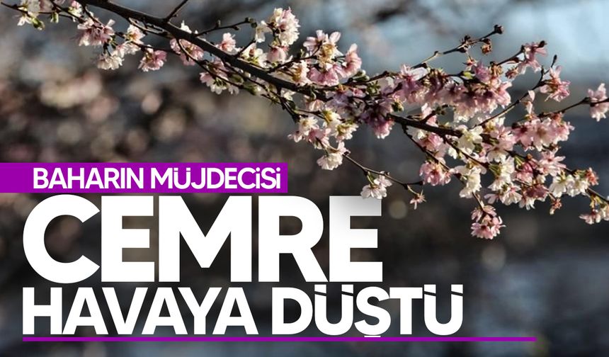 İlk cemre havaya düştü!