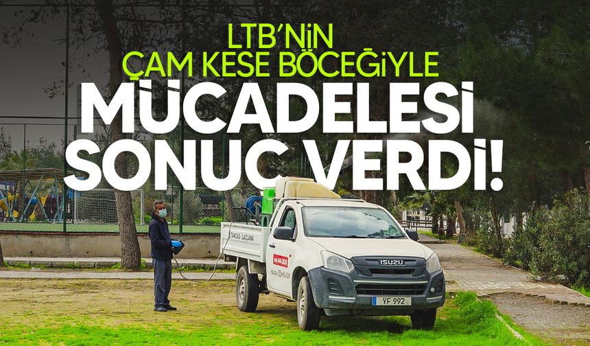 LTB: "Çam kese böceğiyle mücadele kapsamında yürütülen çalışmalar somut ve başarılı!