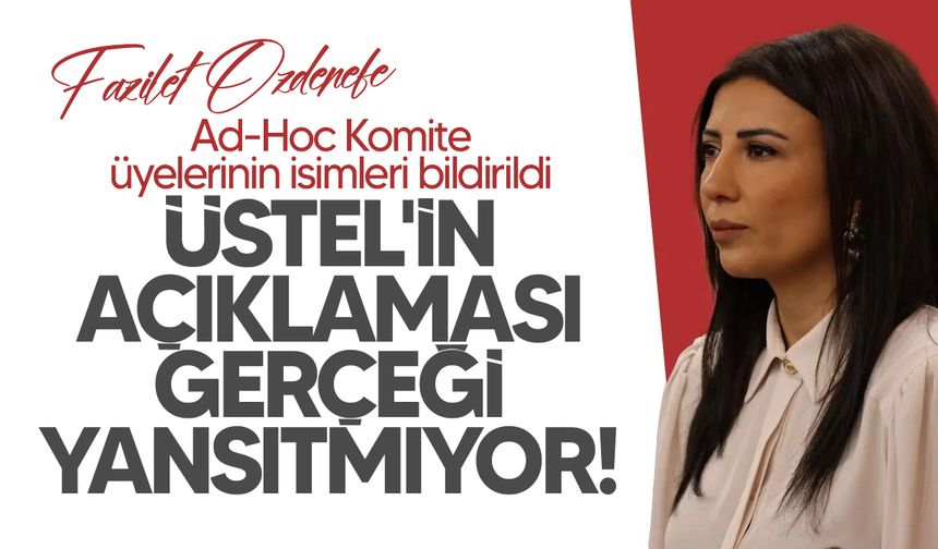 Özdenefe: “AD-HOC Komite isimleri 9 Şubat’ta iletildi”