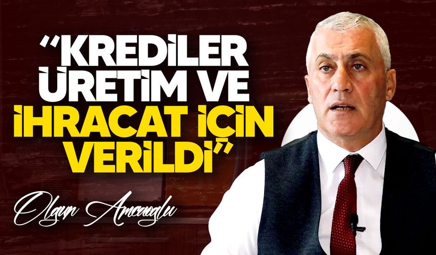 Amcaoğlu: "Kredi destekleri üretim ve turizm için verildi"