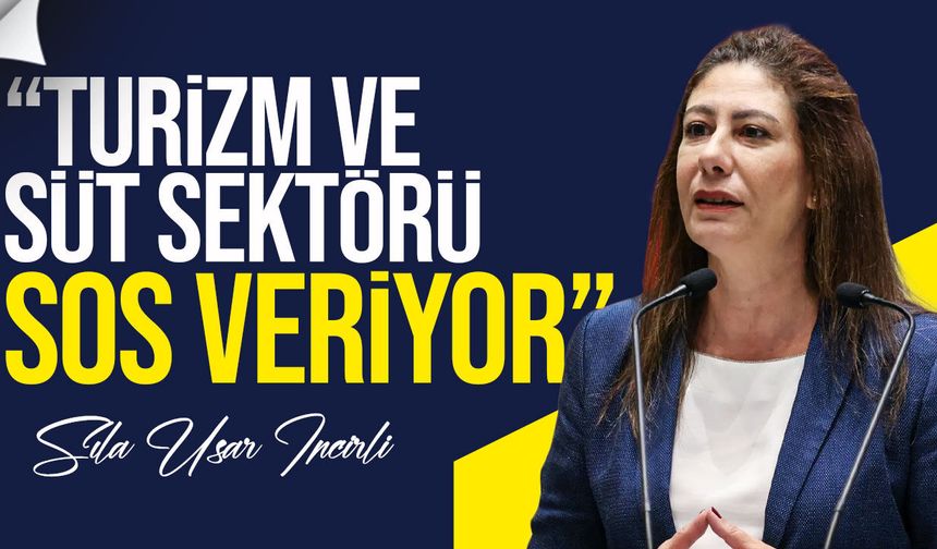 İncirli: "Ekonomi paketi ambalajlı bir pakettir"