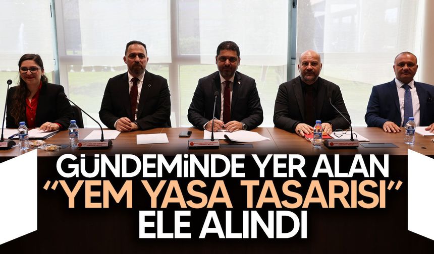 Avrupa Birliği Uyum Yasa Tasarılarını Görüşmek Üzere Oluşturulan Geçici ve Özel Komite toplandı