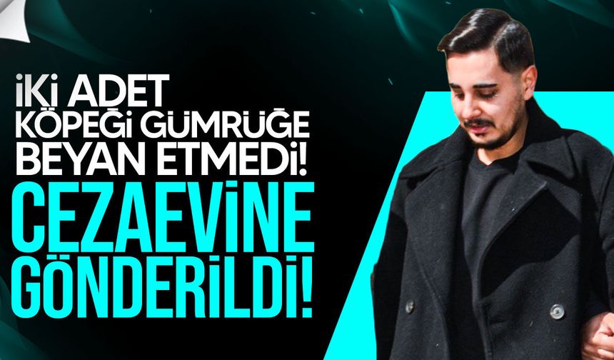 Ercan’da Sahte Belge Skandalı: Zanlı Cezaevine Gönderildi