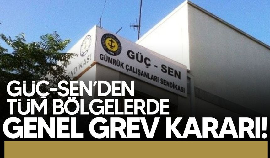 Güç-Sen tüm bölgelerde genel grev kararı aldı