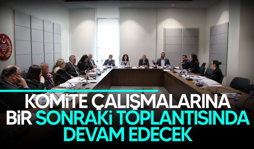 Hukuk, Siyasi İşler, Dışilişkiler ve Savunma Komitesi, Ceza (Değişiklik) Yasa Tasarısı’nı görüştü