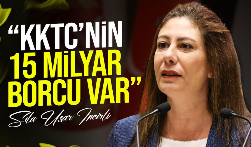 İncirli: "Memleket büyük bir sis bulutunda"