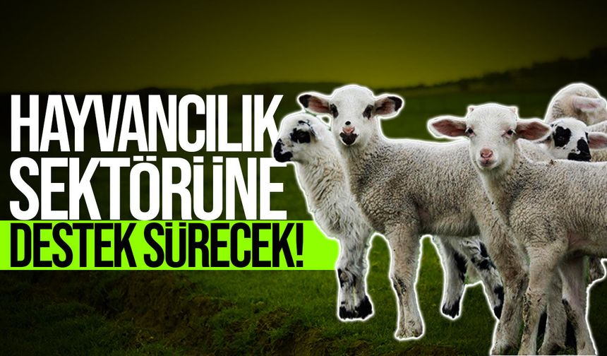Küçükbaş destek ödemeleri perşembe üreticilere yatırılacak