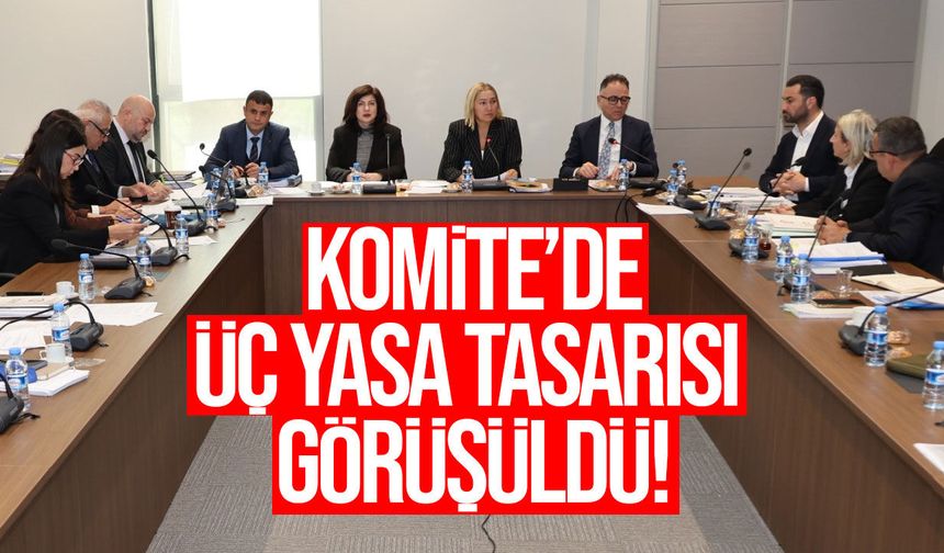 Meclis komitesi üç yasa tasarısını ele aldı