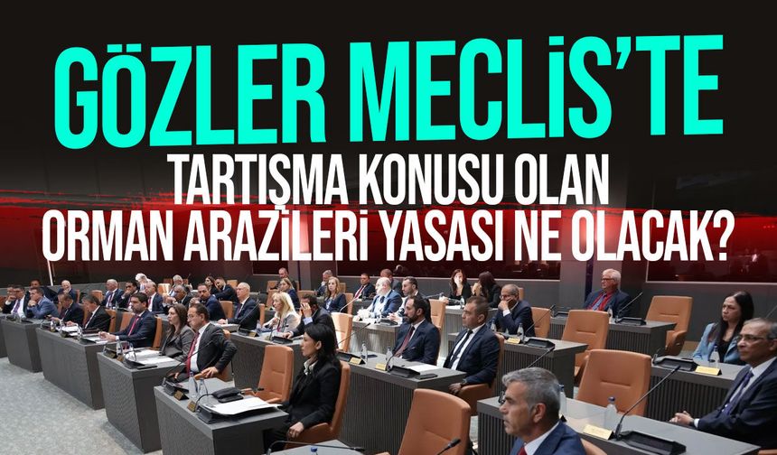 Meclis toplandı: Alçak orman arazileri yasa tasarısı görüşülüyor