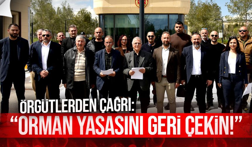 Örgütlerden hükümete çağrı: Orman yasasını geri çekin