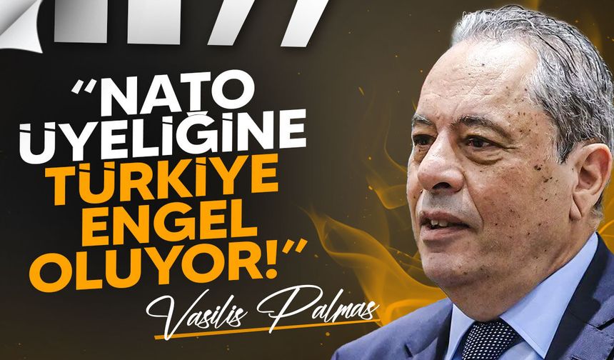 Palmas: "Yunanistan ile Savunma Sistemleri İçin Görüşüyoruz"
