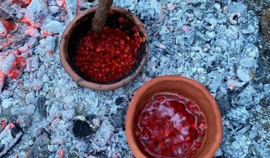 Taş Devri insanı ne yiyordu? 8 bin yıllık çömlekler gerçeği ortaya çıkardı