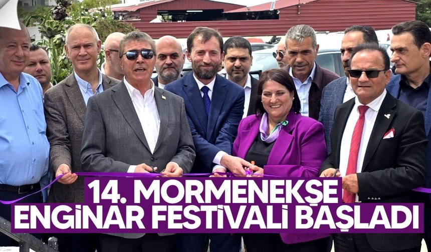 14. Mormenekşe Enginar Festivali başladı