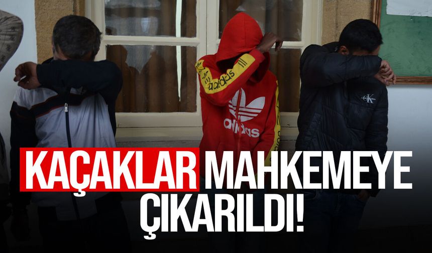 3 kaçak mahkemeye çıkarıldı!