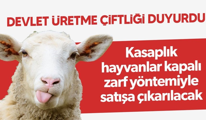 Devlet Üretme Çiftlikleri Dairesi’nden Kasaplık Hayvan Satışı Duyurusu