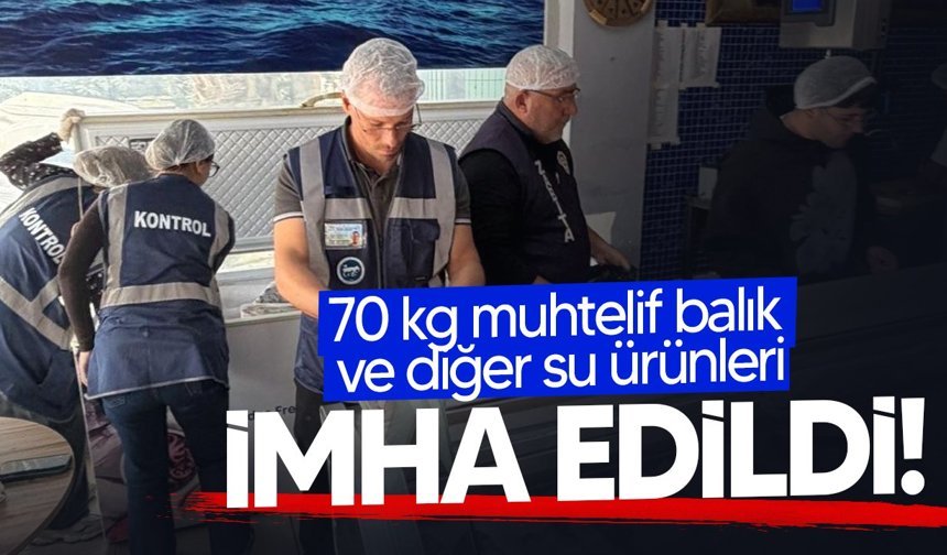 Gönyeli ve Alayköy bölgesindeki su ürünleri perakende satış yerleri denetlendi