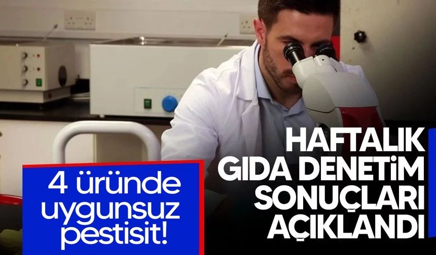 Haftalık gıda denetimleri
