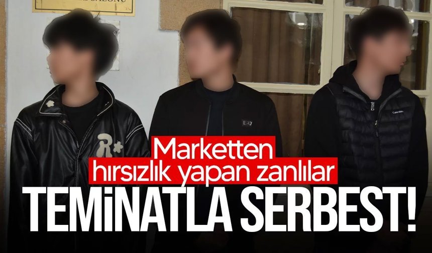 Hırsızlık zanlıları mahkemeye çıkarıldı!