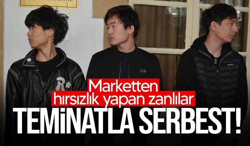 Hırsızlık zanlıları mahkemeye çıkarıldı!