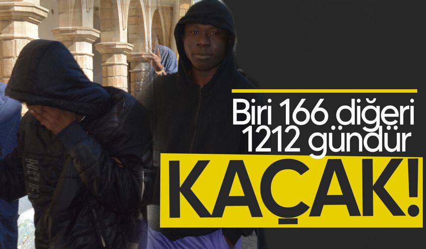 Kaçaklar mahkemeye çıkarıldı!