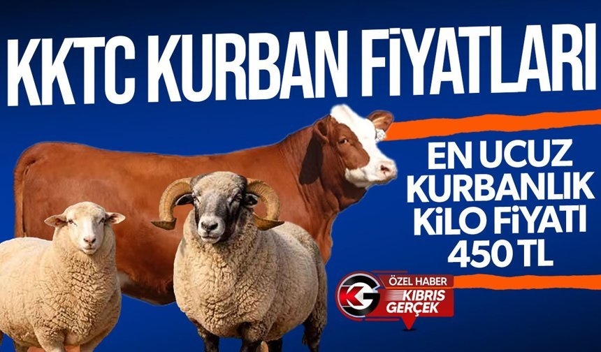 Kurban Bayramı yaklaşıyor... İşte KKTC'de kurbanlık fiyatları...