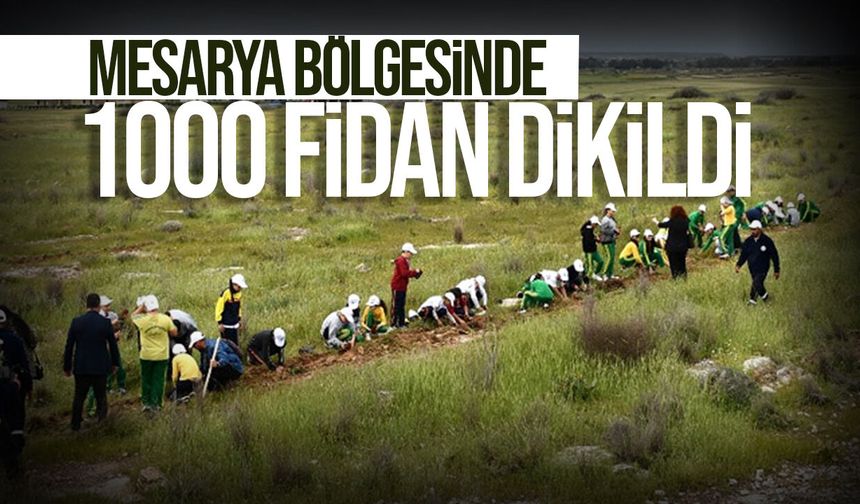 Mesarya’da Yeniden Yeşil Kıbrıs kapsamında 1000 fidan dikildi