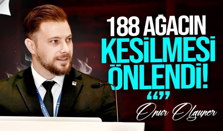 Olguner: Dijital sistemle 188 ağaç kurtarıldı