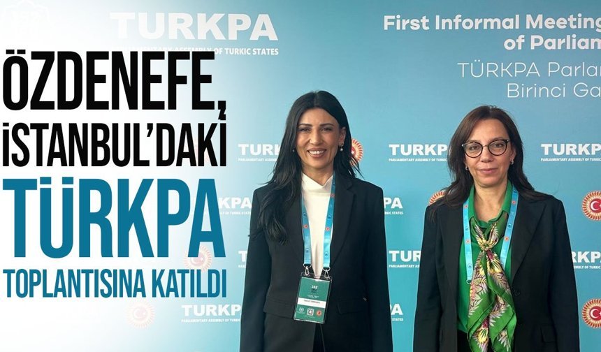 Özdenefe TÜRKPA toplantısında konuştu: “İş birliği ve temsiliyet güçlenmeli”