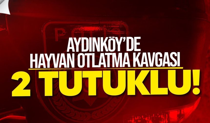 Aydınköy’de hayvan otlatma kavgası: 2 tutuklu
