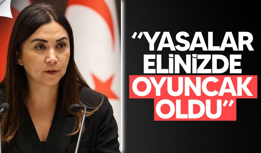 Ayşegül Baybars’tan hükümete sert af yasası eleştirisi